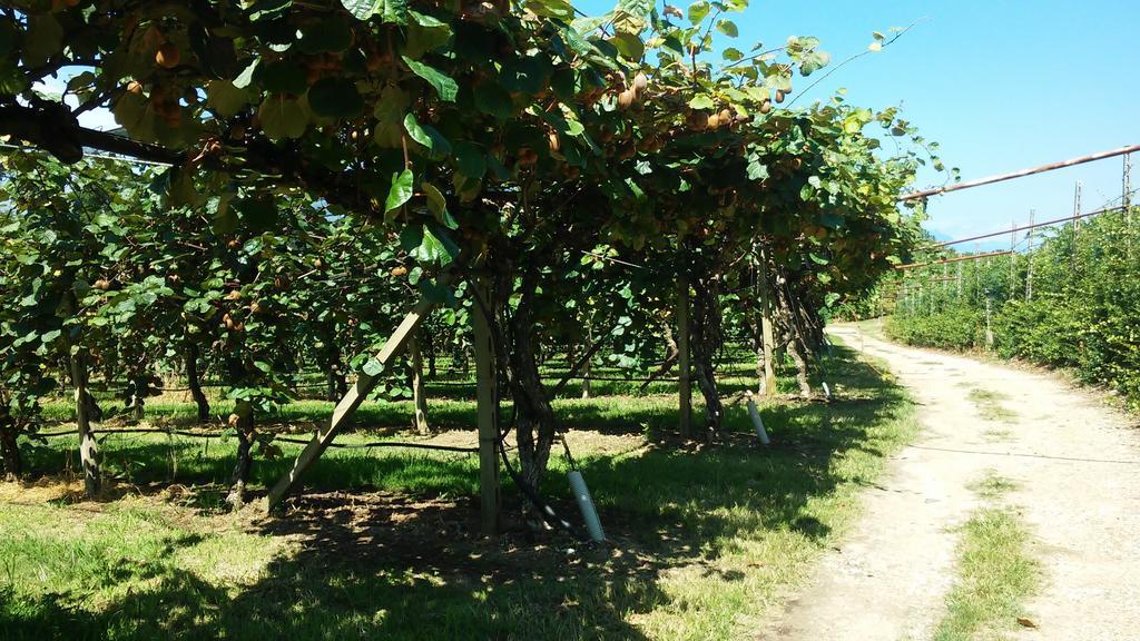 וליג'יו סול מיניציו Agriturismo B&B Corte Tonolli מראה חיצוני תמונה