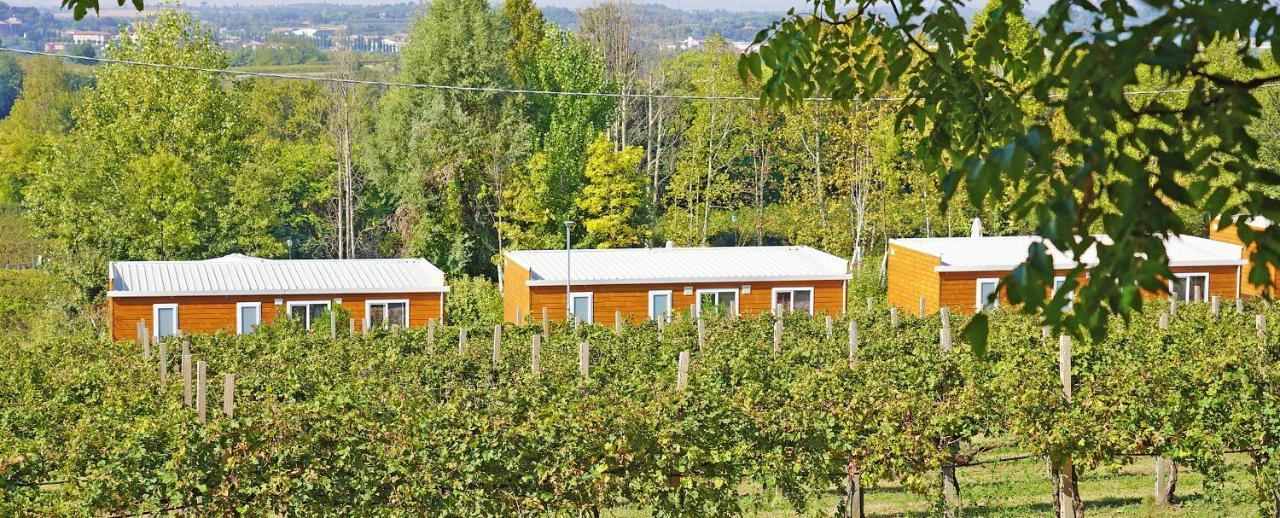 וליג'יו סול מיניציו Agriturismo B&B Corte Tonolli מראה חיצוני תמונה